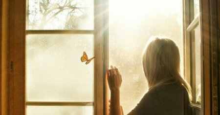 Солнце в окне