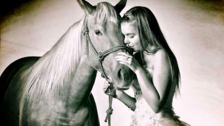 Девушка на коне