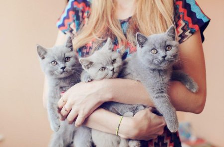 Девушка с котенком