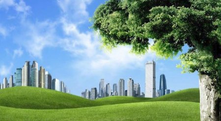 Город в зелени