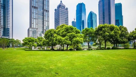 Зеленый город