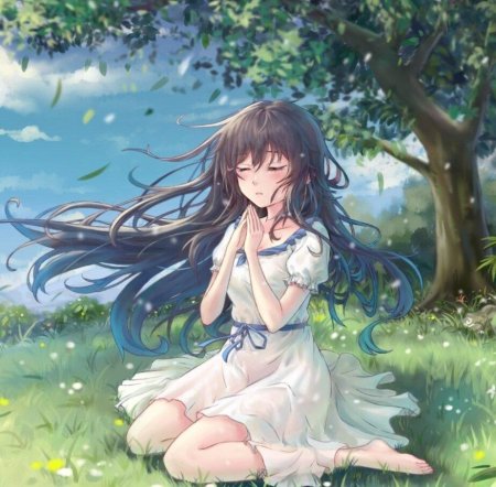Аниме девушка природа