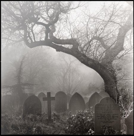 Форест Лоун кладбище