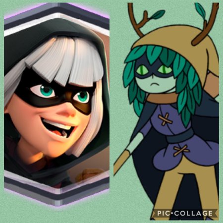 Бандитка клеш рояль