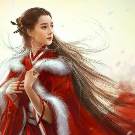 Воительницы Ханьфу аниме