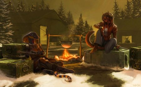 Фурри у костра арт