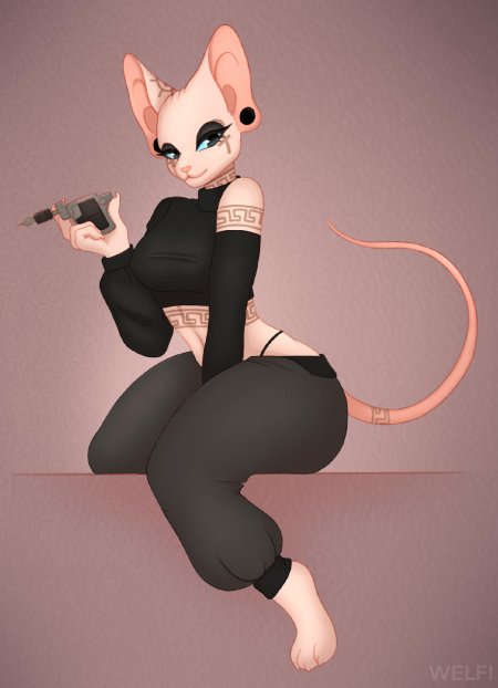 Wingedwolf94 Sphinx Cat