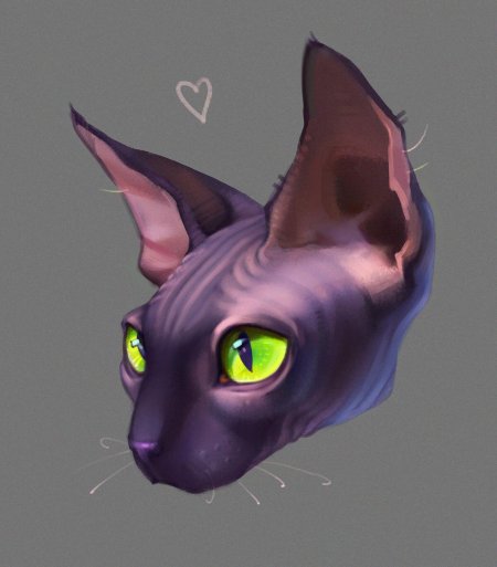 Сфинкс кошка референс