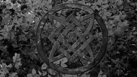 Славянские руны звезда Сварога