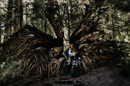 Фотосессия в корнях деревьев