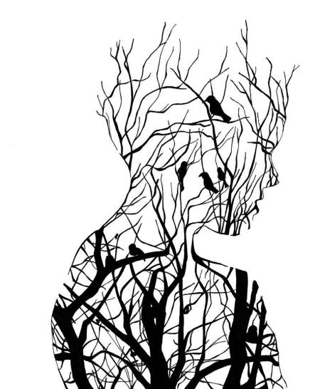 Силуэт дерева