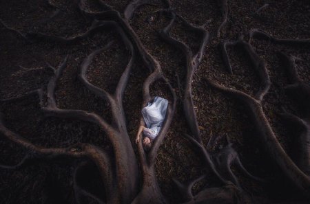 Жуткое дерево