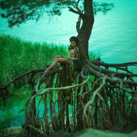 Фотосессия в корнях деревьев