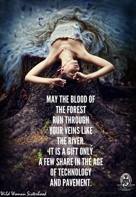 Фотосессия в лесу