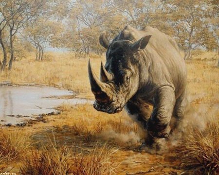 Художник анималист Татьяна Данчурова