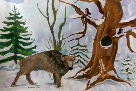 Заповедник рисунок