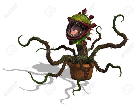 Венерина мухоловка монстр