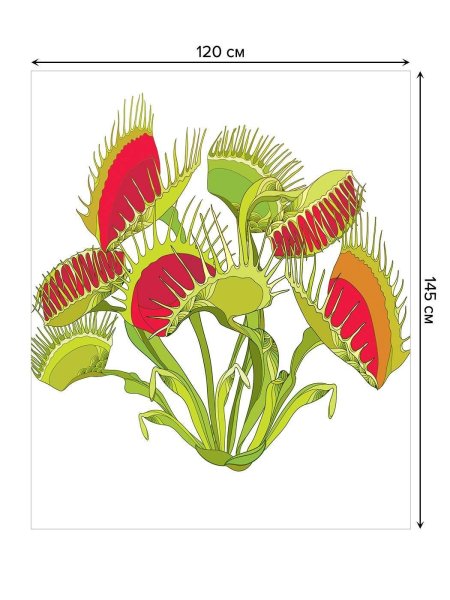 Венерина мухоловка